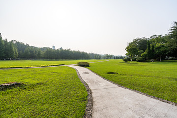 Naklejka premium green lawn