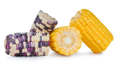 Fresh Corncob isolated cut out on white background