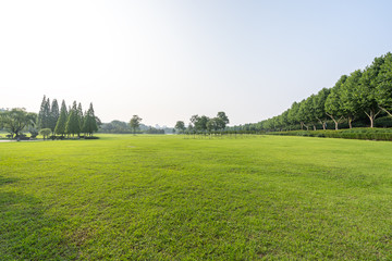 green lawn