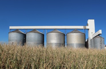 Grain storage silos system, behind a golden corn field  in a sunny early autumn day
