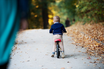 Rear view of small toddler boy riding balance bike in autumn forest.