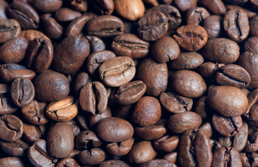 high quality arabica coffee beans