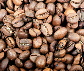 high quality arabica coffee beans