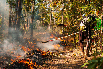 Two Asian firefighters battle a wildfire.