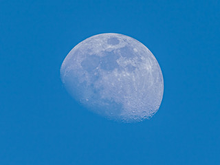 Early Morning Moon Against Blue Sky