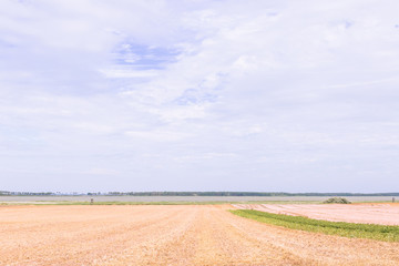 Obraz premium Minimalistic landscape under rhe blue sky.