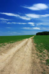 Dirt country road in a green field