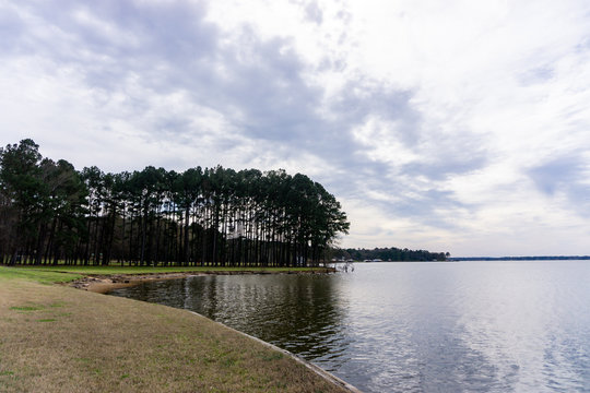 Lake front with trees