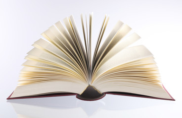 die Seiten eines aufgeschlagenen Buches close up