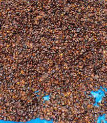 Bolivia La Paz El Alto district market coffee husks
