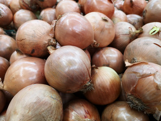 Onions for sale at the market