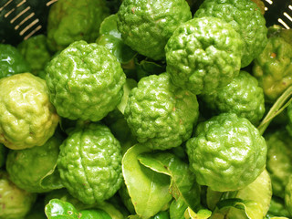 Thai Bergamot Kaffir Lime in the basket 