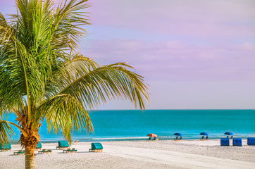 An endless deserted beach with palm trees and white sand and a number of lounge chairs for relaxation. paradise vacation. Florida. USA.