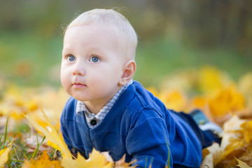 Toddler in the autumn leaves. Beautiful little baby in yellow maple foliage.One year old boy lies on the grass