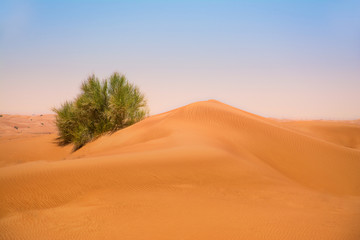 Beautiful sand dunes in Dubai Desert
