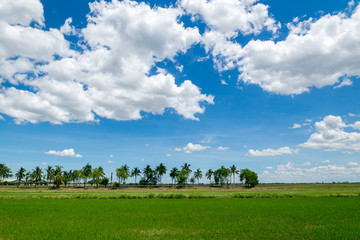 Blue sky with nimbus clouds on rainy season.