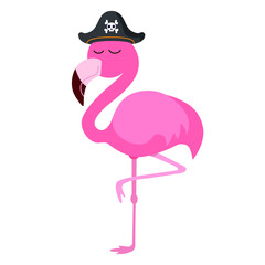 Cute flamingo pirate, vector illustration
