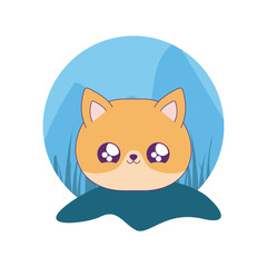 cute head of fox baby animal kawaii