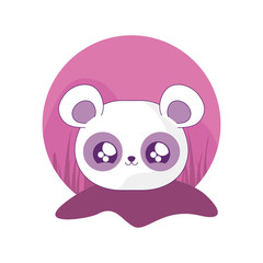 cute head of panda bear baby animal kawaii