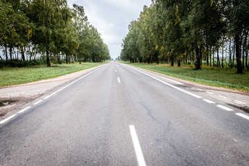 Empty asphalt road surrounded by deciduous summer forest.