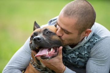 Portrait of a man with a dog. American Staffordshire Terrier with the owner for a walk. Man kisses...