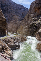 River and bare trees in the mountains