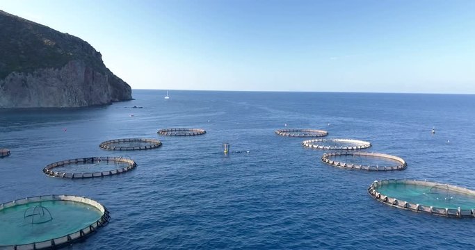Aerial view of a fish farm of sea bream and sea bass in the Mediterranean Sea