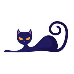 cat feline animal of halloween