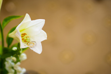 wedding rings lie inside the flower