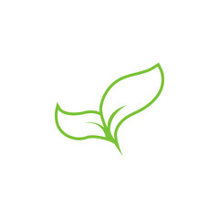 Leaf graphic design template vector isolated illustration