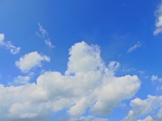 雲