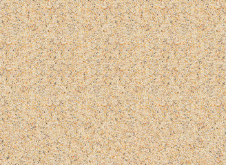 The sand background and texture.Close-up image