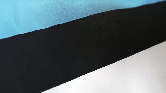 Estonia national flag seamlessly waving on realistic satin texture 29.97FPS
