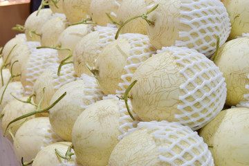 Cantaloupe melons fruit for background.