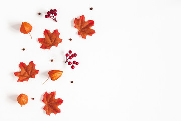 Autumn composition. Pattern made of flowers, maple leaves, berries on white background. Autumn, fall, thanksgiving day concept. Flat lay, top view, copy space