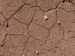 Fototapeta premium ひび割れた地面４