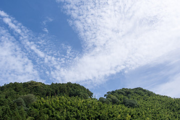 Obraz premium 薄曇りの空