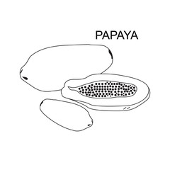Vector illustration of thin line icons for papaya Linear symbols set.