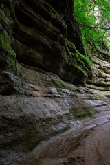 Starved Rock State Park