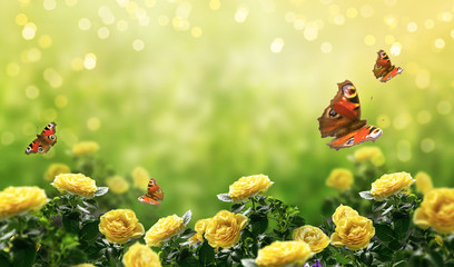 Mysterious spring or summer bright background with many yellow fluttering peacock eye butterflies...