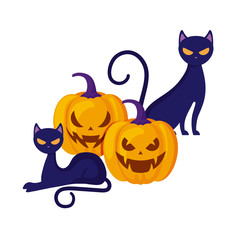 halloween pumpkins with cats isolated icon