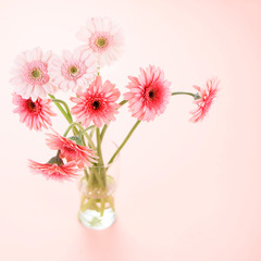 Flowers on pink background