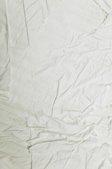 Cheese camembert or brie close up texture