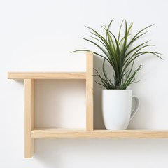 houseplant on wooden shelf