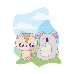 cute koala with cat animals baby kawaii