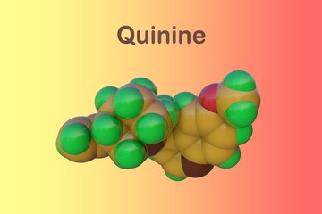 Space-filling molecular model of quinine. It is a medication used to treat malaria and babesiosis. Scientific background. 3d illustration