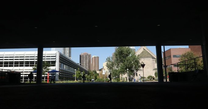 MSU DENVER