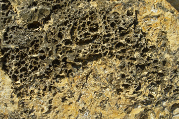 Fragment of a stone wall on the sea coast