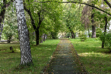 Wet path with yellow leaves in an deserted autumn park