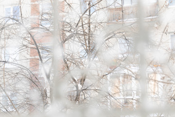 View of bare trees and house outside through the fogged window glass. 